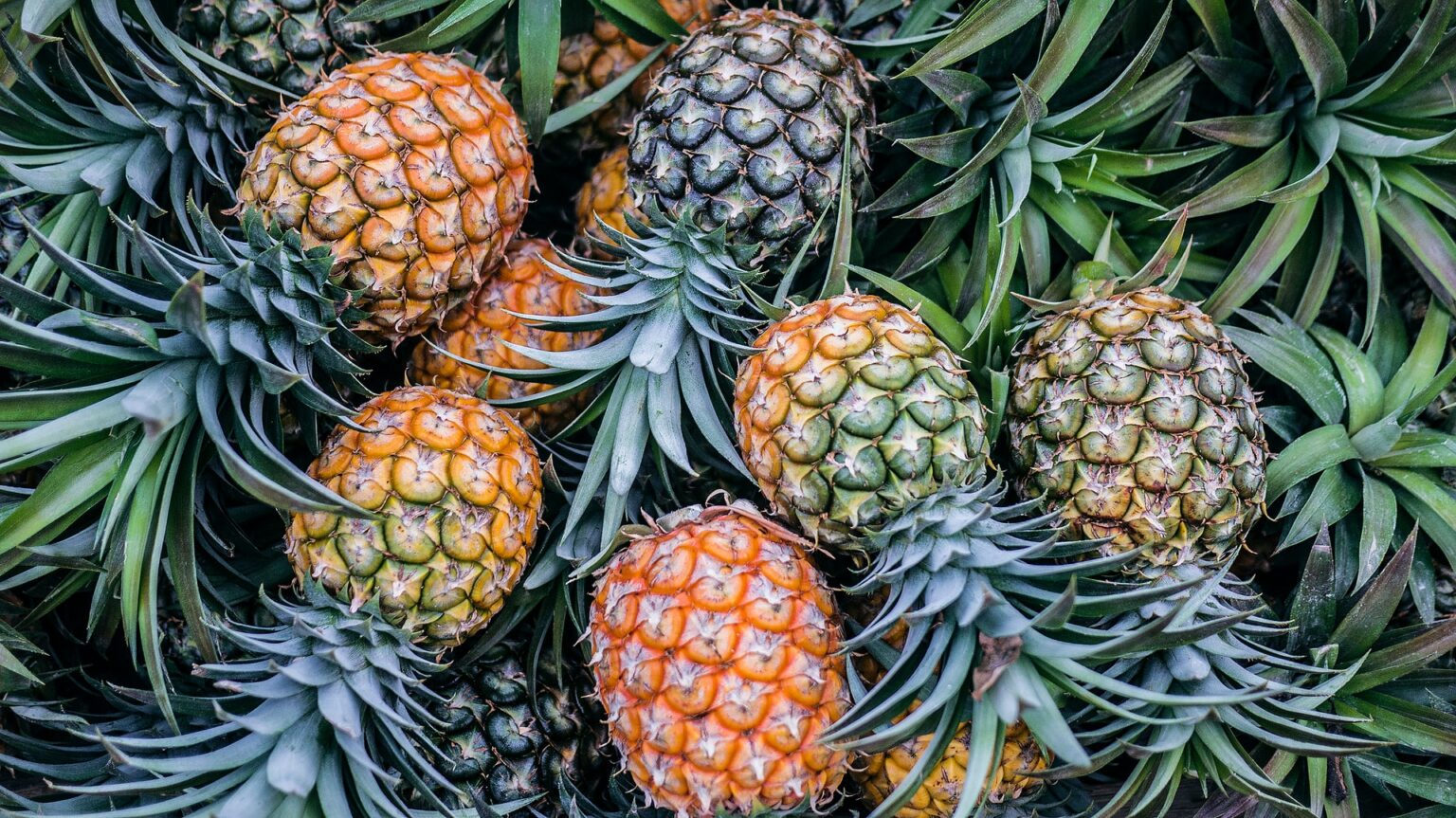 4 Health Benefits of Bromelain in Pineapple Be Renewed