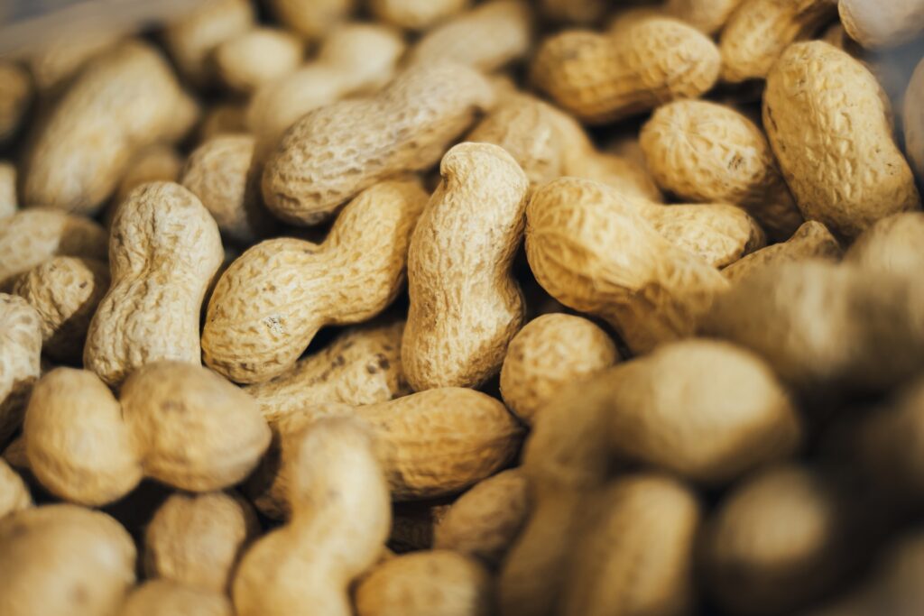 peanuts in shells 